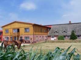 Willkommen im Urlaub auf dem Land! / Ferienwohnung "Heuböön" in Rantrum