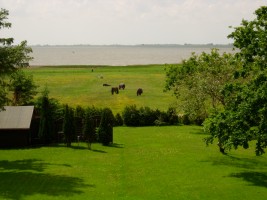 direkter Blick auf die Nordsee / Appartement "Ellen Lenz" in Husum-Schobüll