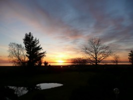 Genießen Sie zu jeder Jahreszeit die traumhaften Sonnenuntergänge aus Ihrem Fenster oder vom Gartenhaus aus.
 / Ferienwohnung "Ellen Lenz" in Husum-Schobüll