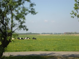  / Ferienhaus "Ferienwohnung" in Hattstedtermarsch