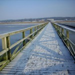 Seebrücke .... / Ferienwohnung "Meerblick" in Husum-Schobuell