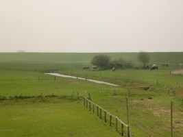 Deichblick vom Balkon aus. / Ferienwohnung "Deichblick" in Husum-Schobüll