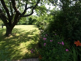 Toller Garten! / Ferienwohnung "Damitz" in Hattstedtermarsch