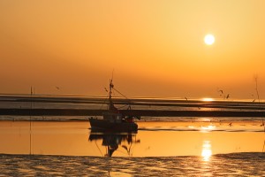 Nach all den vielen Eindrücken, die man am Tag erlebt hat, lohnt es sich, am Strand den Sonnenuntergang auf sich wirken zu lassen. / Ferienwohnung "Rödemis" in Husum