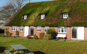 Im Sommer blüht ein grosser Garten mit alten Bäumen. Im Winter geniesst man die absolte Ruhe in freier Natur. / Ferienwohnung "Schipp-Landen II" in Husum-Schobüll