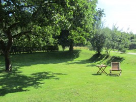 Der Garten kann mitbenutzt werden / Ferienwohnung "Ferienwohnung Holt" in Husum