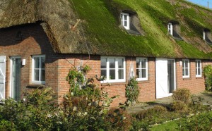 Im Sommer blüht ein grosser Garten mit alten Bäumen. Im Winter geniesst man die absolte Ruhe in freier Natur. / Ferienwohnung "Schipp-Landen III" in Husum-Schobüll