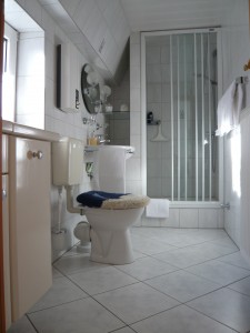 Dusche, WC und Föhn / Ferienwohnung "Rödemis" in Husum