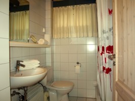 Badezimmer mit Dusche und WC / Ferienhaus "Ebbe und Flut" in Simonsberg