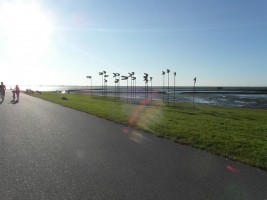 der Dockkoog- hier können Sie baden oder wattwandern / Ferienwohnung "Urlaub-schön und apart" in Husum