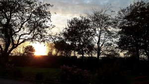 Herbstbild / Ferienwohnung "Kleiner Onkel" in Hattstedtermarsch