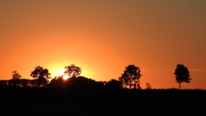 Abendstimmung / Ferienwohnung "Ferienhof Lass" in Südermarsch Husum