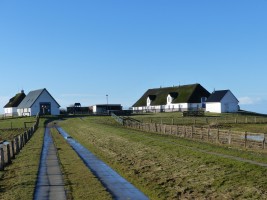 Hamburger Hallig / Ferienhaus "Muschelsucher 1" in Nordstrand-Norderhafen