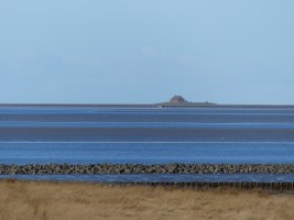 Blick auf Hallig Südfall / Ferienhaus "Muschelsucher 2" in Nordstrand-Norderhafen