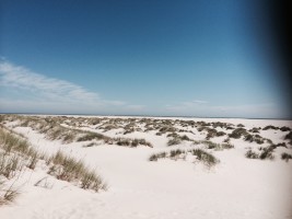 Kniepsand auf Amrum -immer ein Ausflug wert / Ferienhaus "Muschelsucher 2" in Nordstrand-Norderhafen