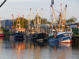 Abendstimmung am Außenhafen mit Krabbenkutter / Ferienwohnung "Husum-Tied" in Husum