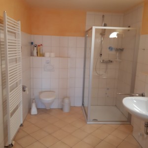 Badezimmer mit Dusche und WC / Ferienwohnung "Peerstall" in Rantrum