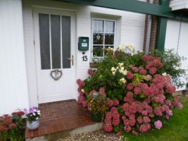 gepflegter Eingang mit Blumen / Ferienhaus "Haus Seestern" in Nordstrand