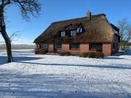 Neukoog im Winter mit Wildspuren im Schnee / Ferienhaus "Ferienwohnung Ferienhaus Neukoog  I" in Nordstrand