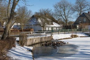  / Ferienhaus "Ferien unter Reet" in Ostenfeld