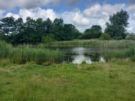 Unsere Wehle / Ferienwohnung "Wehlenhoff (I)          am Deich" in Husum