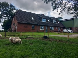 Wehlenhoff / Ferienwohnung "Wehlenhoff (II)  am Deich" in Husum-Schobüll