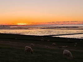 Sonnenuntergang am Deich / Ferienwohnung "Op England" in Nordstrand