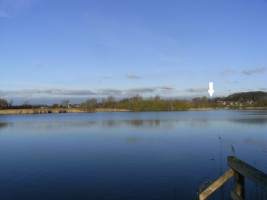 Biotop / Ferienwohnung "Ferienwohnung-Nordsee-Husum" in Husum